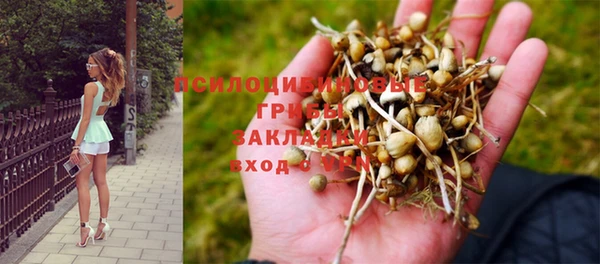 каннабис Арсеньев